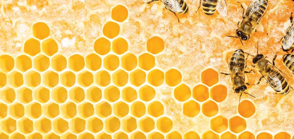 Pourquoi l’architecture hexagonale est-elle le visage de l’avenir ?