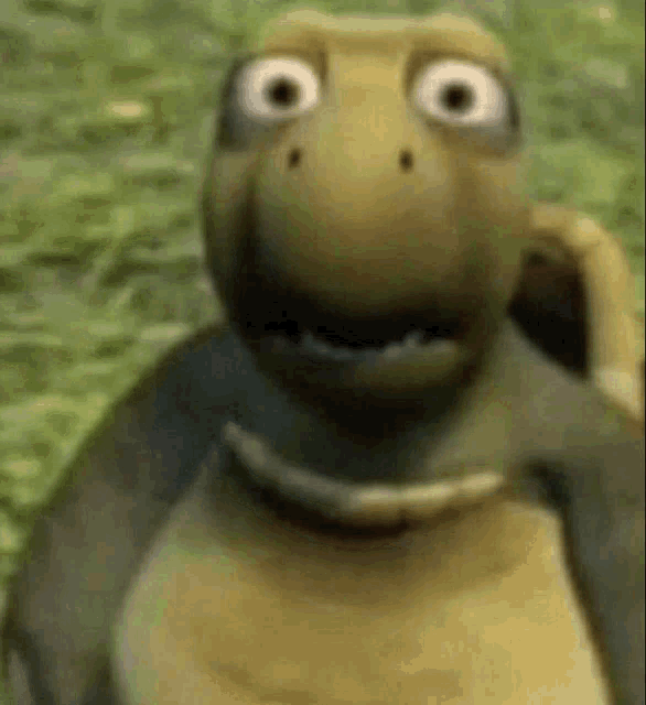 An image zooming on the face of a turtle in a animation movie. The turtle is doing a surprised expression (like “What ???”).