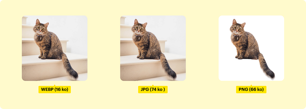 Comparaison des poids de différents formats d’images : WEBP (16 ko), JPG (74 ko), PNG (66 ko)