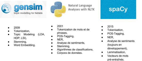 Figure 1. Librairies Python spécialisées dans le NLP.