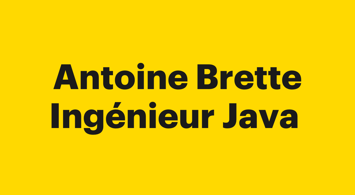Antoine Brette, Ingénieur Java