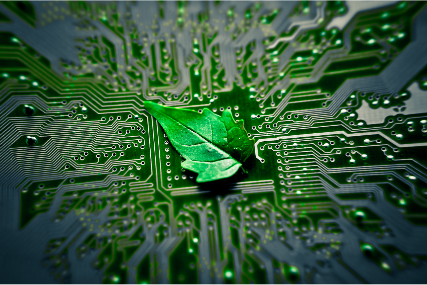 Green IT : ISO14001